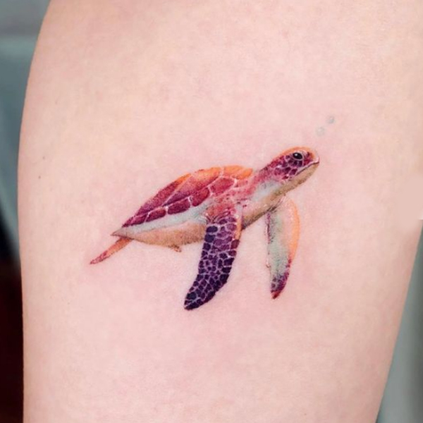 Adorable Turtle tattoo design