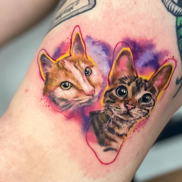  Amazing colorful cat portrait tattoo