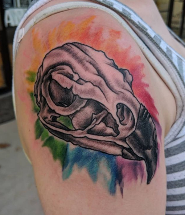 Attractive bird skull colorful tattoo