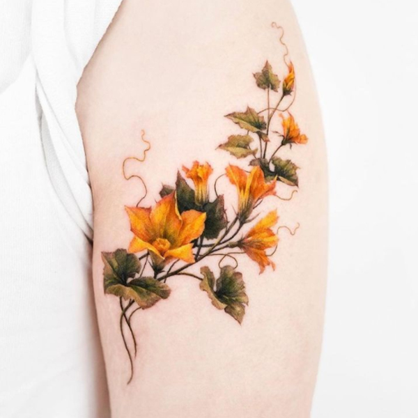 Gorgeous Pumpkin vine flower over the bicep